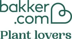 Pokon Stekpoeder - 25gr - Stimuleert Wortelvorming -Gardena Winkel 1200x657 3