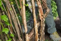 GARDENA - SlimCut Takkenschaar -28mm- Met Hefboommechanisme -Gardena Winkel 1200x799 100