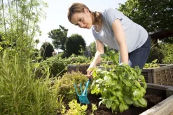 GARDENA Combisystem Tuinhak - Werkbreedte 6,5cm - 25 Jaar Garantie -Gardena Winkel 1200x799 141