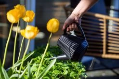 Xala - Gieter Doppio Groove 2L Zwart 5 Xala - Gieter Doppio Groove 2L Zwart -Gardena Winkel 1200x799 55