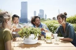 Elho Greenville Schaal 33 - Bloempot Voor Buiten - Ø 32.5 X H 19.4 Cm - Groen/Blad Groen -Gardena Winkel 1200x799 59