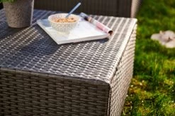 Central Park Hoekbank Loungeset Alea Grijs Staal/riet 3-delig -Gardena Winkel 1200x800 182