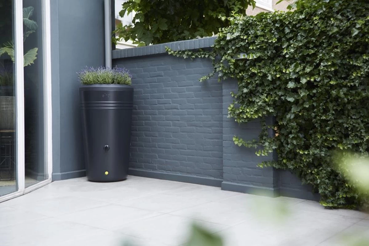 Elho Green Basics Regenton - Regenton - Living Black - Buiten - 200 Liter 6 Elho Green Basics Regenton - Regenton - Living Black - Buiten - 200 Liter - Afbeelding 6