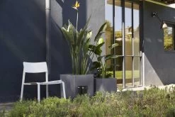 Capi Europe - Bloempot Vierkant Smooth NL - 50x50x50 - Zwart - Voor Binnen En Buiten - KBL904 27 Capi Europe - Bloempot Vierkant Smooth NL - 50x50x50 - Zwart - Voor Binnen En Buiten - KBL904 -Gardena Winkel 1200x800 330