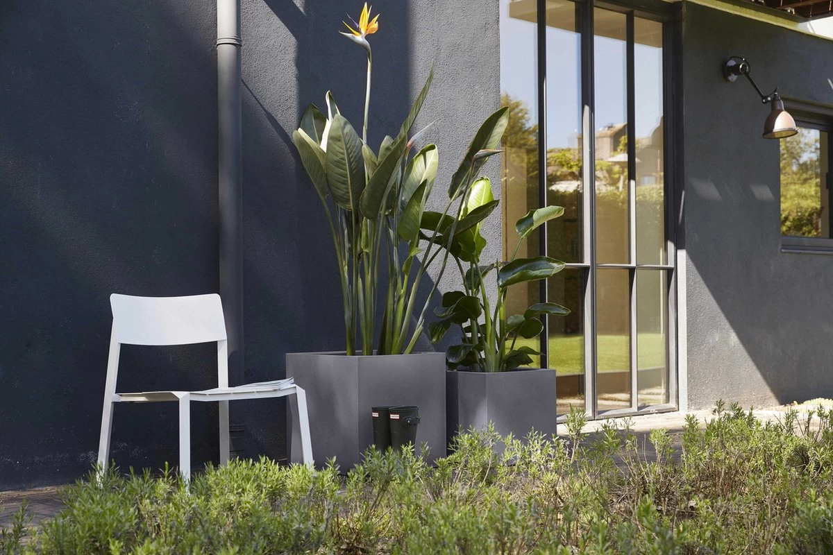 Capi Europe - Bloempot Vierkant Smooth NL - 50x50x50 - Zwart - Voor Binnen En Buiten - KBL904 8 Capi Europe - Bloempot Vierkant Smooth NL - 50x50x50 - Zwart - Voor Binnen En Buiten - KBL904 - Afbeelding 8