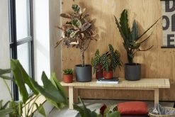 Elho B.for Soft Rond 30 - Bloempot Voor Binnen - Ø 29.5 X H 27.6 Cm - Antraciet -Gardena Winkel 1200x800 333