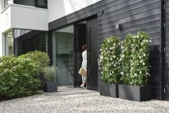 Elho Vivo Next Vierkant 30 - Plantenbak Voor Binnen & Buiten - Ø 29.5 X H 29.5 Cm - Zwart/Living Black 22 Elho Vivo Next Vierkant 30 - Plantenbak Voor Binnen & Buiten - Ø 29.5 X H 29.5 Cm - Zwart/Living Black -Gardena Winkel 1200x800 337