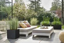 Elho Vivo Next Vierkant 30 - Plantenbak Voor Binnen & Buiten - Ø 29.5 X H 29.5 Cm - Zwart/Living Black 23 Elho Vivo Next Vierkant 30 - Plantenbak Voor Binnen & Buiten - Ø 29.5 X H 29.5 Cm - Zwart/Living Black -Gardena Winkel 1200x800 338