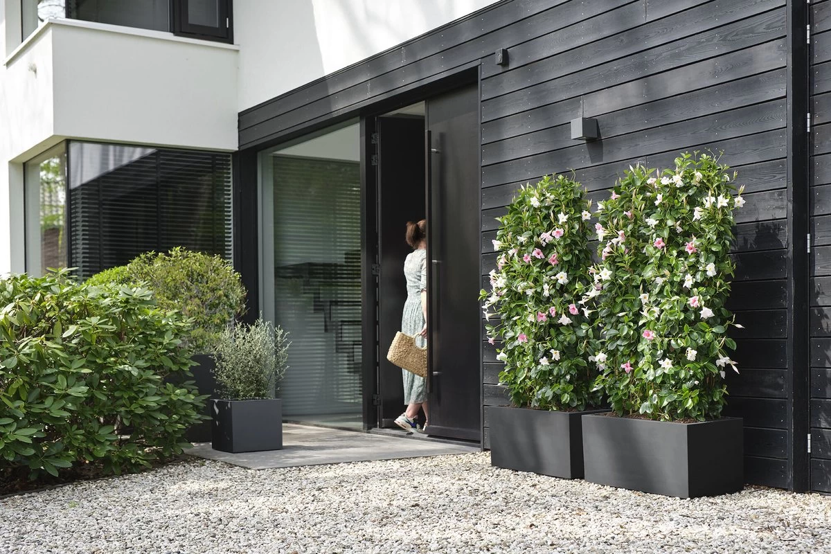 Elho Vivo Next Vierkant 40 - Plantenbak Voor Binnen & Buiten - Ø 39.0 X H 37.9 Cm - Zwart/Living Black 6 Elho Vivo Next Vierkant 40 - Plantenbak Voor Binnen & Buiten - Ø 39.0 X H 37.9 Cm - Zwart/Living Black - Afbeelding 6