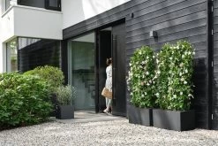 Elho Vivo Next Vierkant 40 - Plantenbak Voor Binnen & Buiten - Ø 39.0 X H 37.9 Cm - Zwart/Living Black 29 Elho Vivo Next Vierkant 40 - Plantenbak Voor Binnen & Buiten - Ø 39.0 X H 37.9 Cm - Zwart/Living Black -Gardena Winkel 1200x800 344