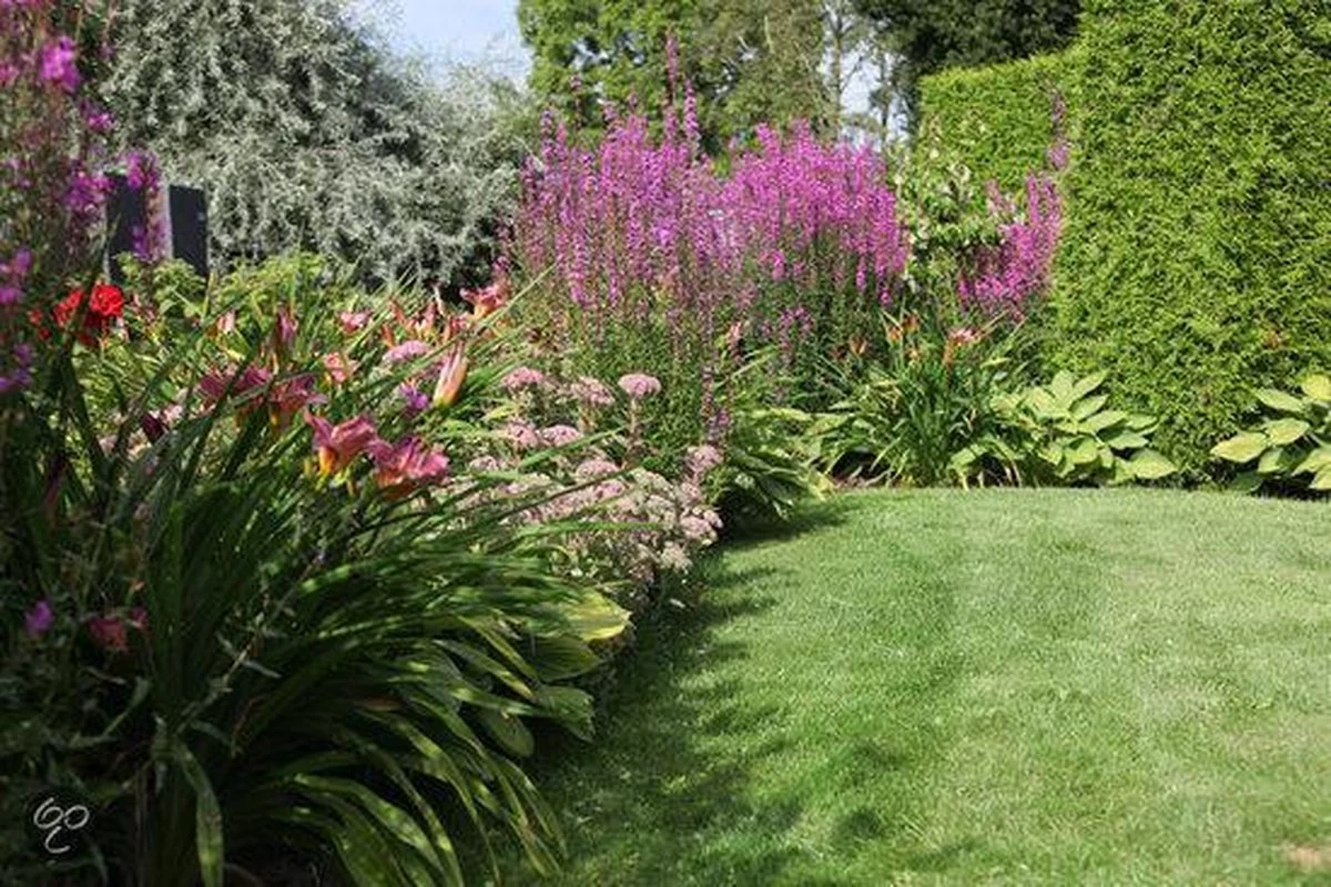 ECOstyle Tuinmest Organische Meststof - Border & Siertuin - Natuurlijke Meststof Gazon - 120 Dagen Voeding- 50 M² - 5 KG 3 ECOstyle Tuinmest Organische Meststof - Border & Siertuin - Natuurlijke Meststof Gazon - 120 Dagen Voeding- 50 M² - 5 KG - Afbeelding 3