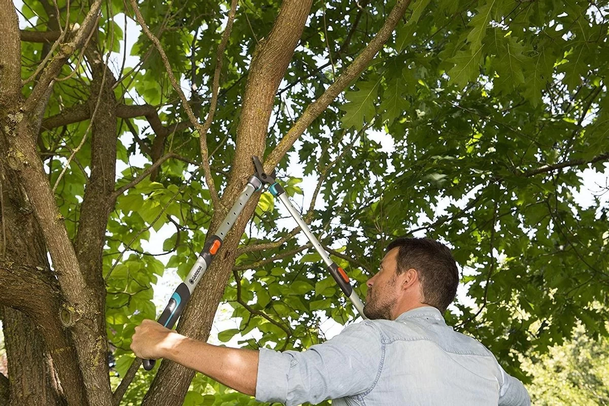 Gardena TeleCut Takkenschaar 650-900 B - Uitschuifbare Armen - Tot Max 90 Cm 6 Gardena TeleCut Takkenschaar 650-900 B - Uitschuifbare Armen - Tot Max 90 Cm - Afbeelding 6