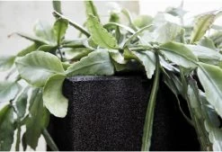 Capi Europe - Bloempot Vierkant Smooth NL - 40x40x40 - Zwart - Voor Binnen En Buiten - KBL903 -Gardena Winkel 1200x820 8