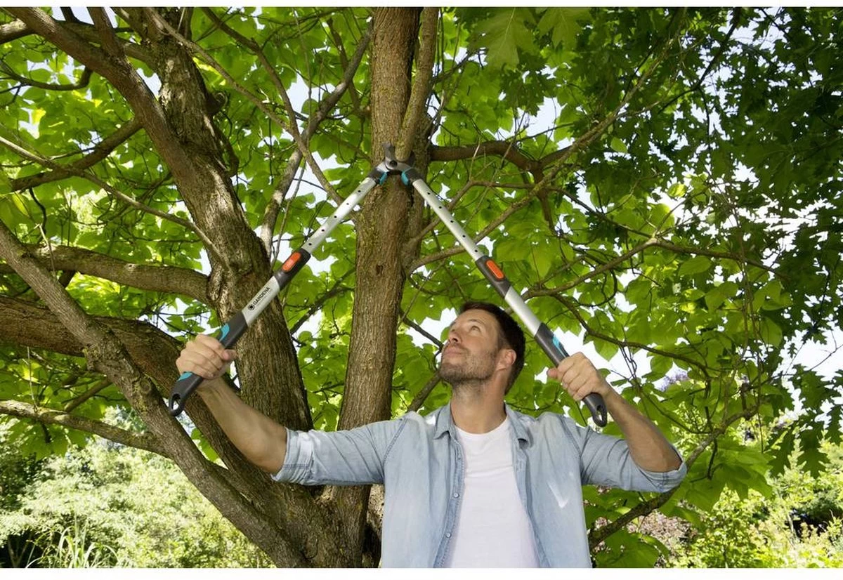 Gardena TeleCut Takkenschaar 650-900 B - Uitschuifbare Armen - Tot Max 90 Cm 5 Gardena TeleCut Takkenschaar 650-900 B - Uitschuifbare Armen - Tot Max 90 Cm - Afbeelding 5