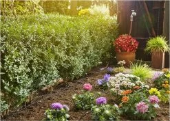 GARDENA Micro Drip System Startset S - Voor Rijplanten Druppelsysteem- 15 Meter -Gardena Winkel 1200x859