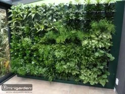 Minigarden Vertical Verticale Tuin - Zwart -Gardena Winkel 1200x900 40