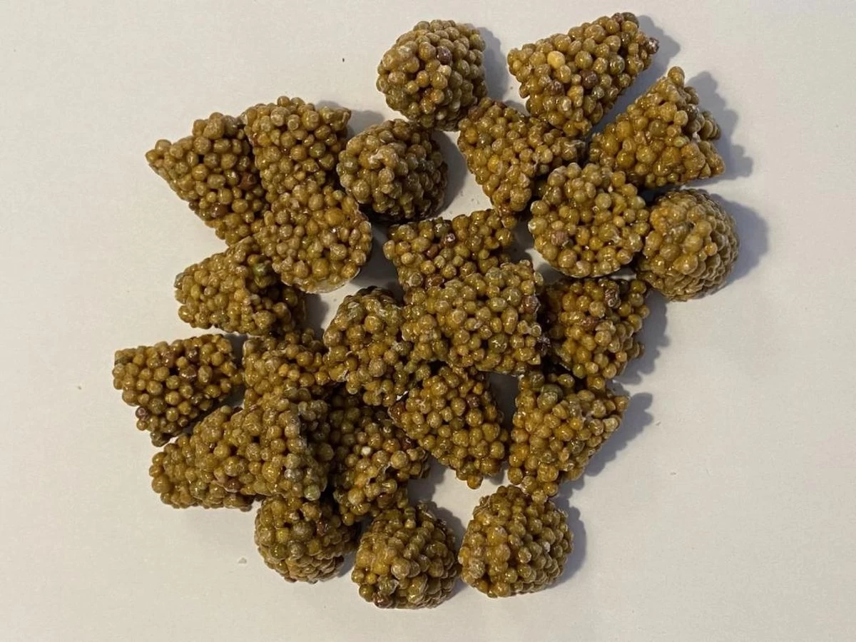 Ferrarium Planten Voedingstabletten (35 Stuks) - Plantenvoeding - Kamerplanten Voeding - Ecosysteem Voeding - Balkon Planten Voeding - Easytabs - Kamerplanten Voedingskegels 1 Ferrarium Planten Voedingstabletten (35 Stuks) - Plantenvoeding - Kamerplanten Voeding - Ecosysteem Voeding - Balkon Planten Voeding - Easytabs - Kamerplanten Voedingskegels