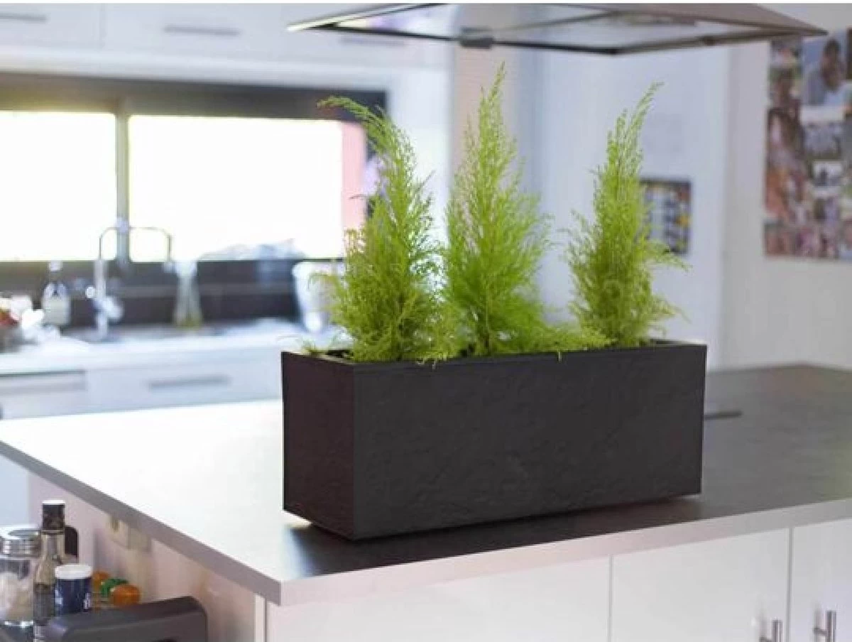 EDA Plantenbak - Bloembak - 25L - 59 X 19,5 X 22,8 Cm - Antraciet 2 EDA Plantenbak - Bloembak - 25L - 59 X 19,5 X 22,8 Cm - Antraciet - Afbeelding 2