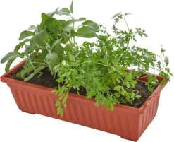 Tectake - Verticaal Plantenrek Met 4 Bakken - 403445 -Gardena Winkel 1200x975 3