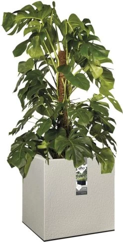 Elho Vivo Structure Finish Vierkant 40 - Plantenbak Voor Binnen & Buiten - Ø 39 X H 41 - Grijs/Warm Grijs 16 Elho Vivo Structure Finish Vierkant 40 - Plantenbak Voor Binnen & Buiten - Ø 39 X H 41 - Grijs/Warm Grijs -Gardena Winkel 613x1200