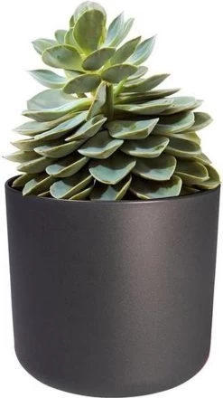 Elho B.for Soft Rond 30 - Bloempot Voor Binnen - Ø 29.5 X H 27.6 Cm - Antraciet -Gardena Winkel 674x1200