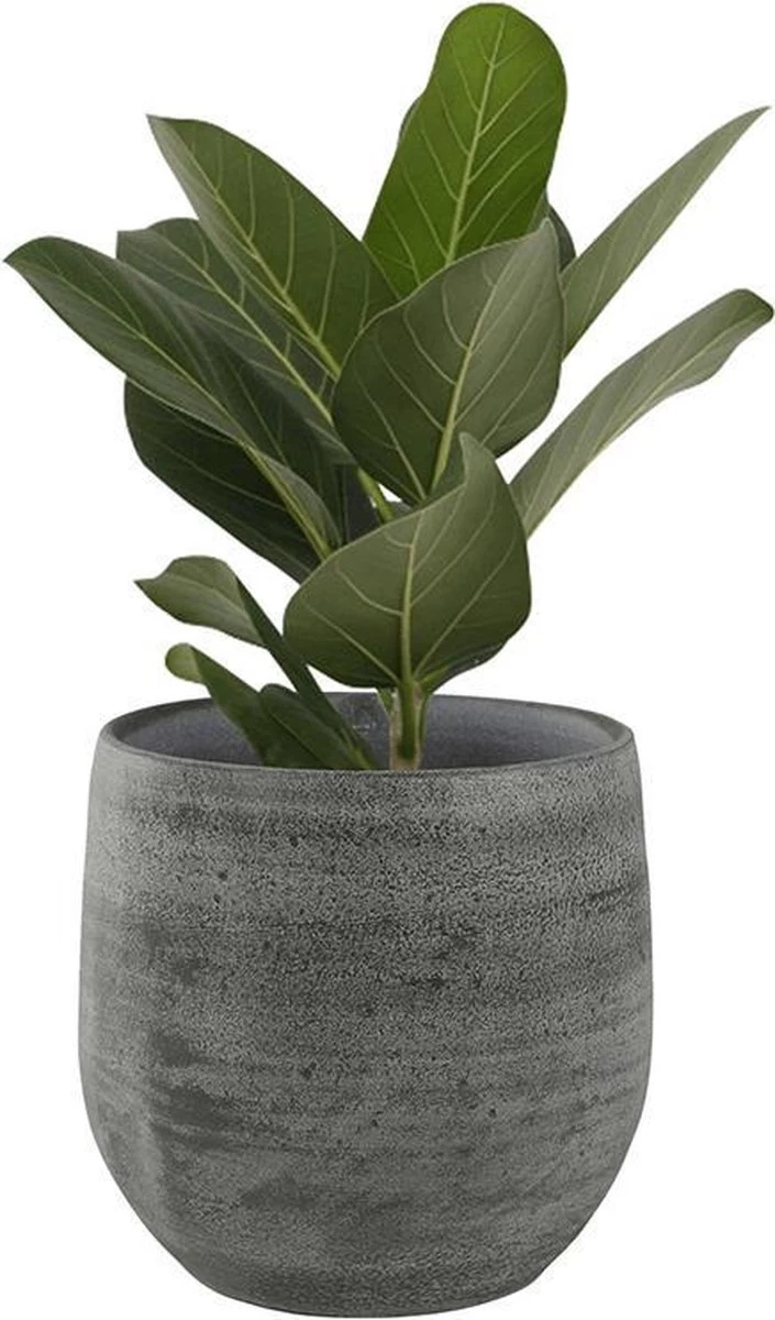 Pot Esra Mystic Grey Bloempot Binnen 15 Cm 4 Pot Esra Mystic Grey Bloempot Binnen 15 Cm - Afbeelding 4
