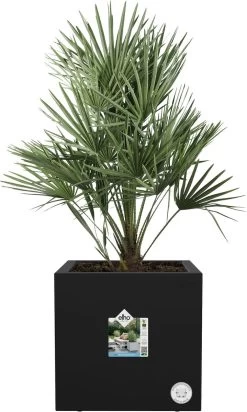 Elho Vivo Next Vierkant 40 - Plantenbak Voor Binnen & Buiten - Ø 39.0 X H 37.9 Cm - Zwart/Living Black 19 Elho Vivo Next Vierkant 40 - Plantenbak Voor Binnen & Buiten - Ø 39.0 X H 37.9 Cm - Zwart/Living Black -Gardena Winkel 719x1200 1
