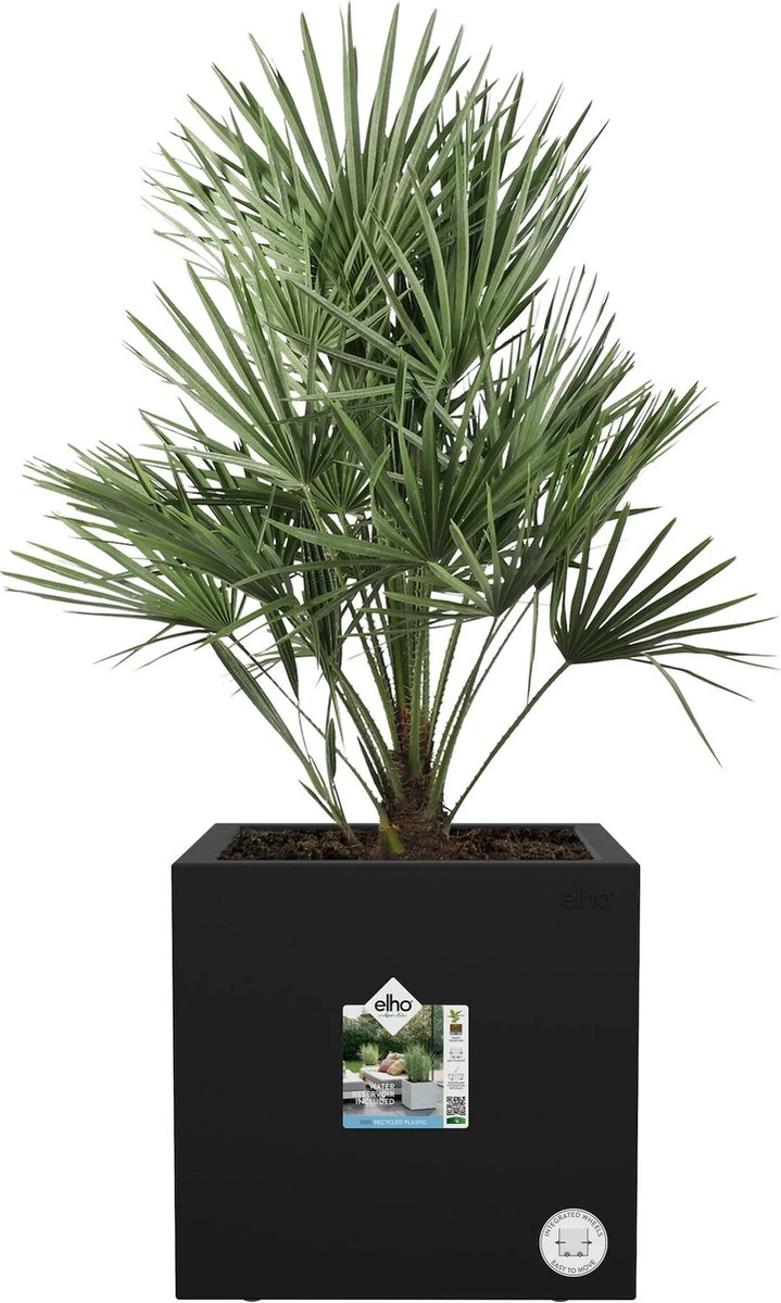 Elho Vivo Next Vierkant 40 - Plantenbak Voor Binnen & Buiten - Ø 39.0 X H 37.9 Cm - Zwart/Living Black 2 Elho Vivo Next Vierkant 40 - Plantenbak Voor Binnen & Buiten - Ø 39.0 X H 37.9 Cm - Zwart/Living Black - Afbeelding 2