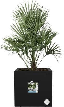 Elho Vivo Next Vierkant 30 - Plantenbak Voor Binnen & Buiten - Ø 29.5 X H 29.5 Cm - Zwart/Living Black 28 Elho Vivo Next Vierkant 30 - Plantenbak Voor Binnen & Buiten - Ø 29.5 X H 29.5 Cm - Zwart/Living Black -Gardena Winkel 720x1200