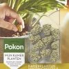Pokon Kamerplanten Voedingskegels - 10st - Plantenvoeding - 6 Maanden Voeding