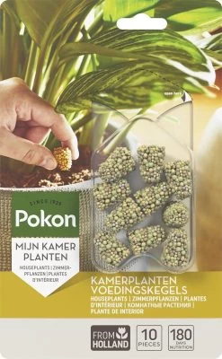 Pokon Kamerplanten Voedingskegels - 10st - Plantenvoeding - 6 Maanden Voeding