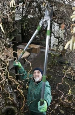 Telescopische Takkenschaar, 6-voudig -Gardena Winkel 775x1200