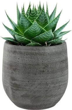 Pot Esra Mystic Grey Bloempot Binnen 15 Cm 6 Pot Esra Mystic Grey Bloempot Binnen 15 Cm -Gardena Winkel 789x1200 1