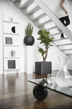 Capi Europe - Bloempot Vierkant Smooth NL - 40x40x40 - Zwart - Voor Binnen En Buiten - KBL903 -Gardena Winkel 800x1200 81