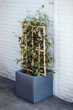 Capi Europe - Bloempot Vierkant Smooth NL - 40x40x40 - Zwart - Voor Binnen En Buiten - KBL903 -Gardena Winkel 800x1200 82
