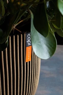 Capi Europe - Vaas Elegant Laag Groove NL - 34x46 - Goud - Voor Binnen En Buiten - KGVGB782 -Gardena Winkel 800x1200 84