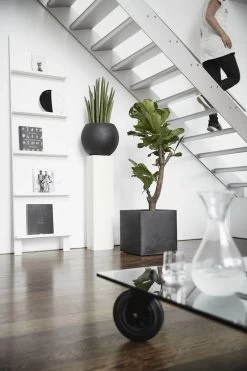 Capi Europe - Bloempot Vierkant Smooth NL - 30x30x30 - Zwart - Voor Binnen En Buiten - KBL902 -Gardena Winkel 800x1200 86