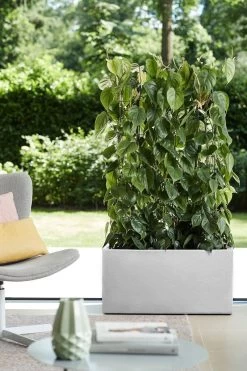 Elho Vivo Structure Finish Lang 90 - Plantenbak Voor Binnen & Buiten - Ø 88 X H 41 - Wit -Gardena Winkel 800x1200 94