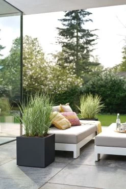 Elho Vivo Next Vierkant 40 - Plantenbak Voor Binnen & Buiten - Ø 39.0 X H 37.9 Cm - Zwart/Living Black 26 Elho Vivo Next Vierkant 40 - Plantenbak Voor Binnen & Buiten - Ø 39.0 X H 37.9 Cm - Zwart/Living Black -Gardena Winkel 800x1200 95