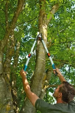 Gardena TeleCut Takkenschaar 650-900 B - Uitschuifbare Armen - Tot Max 90 Cm 24 Gardena TeleCut Takkenschaar 650-900 B - Uitschuifbare Armen - Tot Max 90 Cm -Gardena Winkel 801x1200 6