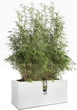 Elho Vivo Structure Finish Lang 90 - Plantenbak Voor Binnen & Buiten - Ø 88 X H 41 - Wit -Gardena Winkel 840x1200 1