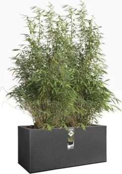 Elho Vivo Structure Finish Lang 90 - Plantenbak Voor Binnen & Buiten - Ø 88 X H 41 - Wit -Gardena Winkel 840x1200 2