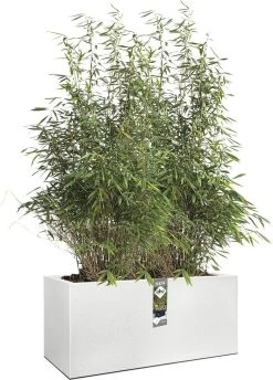 Elho Vivo Structure Finish Lang 90 - Plantenbak Voor Binnen & Buiten - Ø 88 X H 41 - Wit -Gardena Winkel 862x1200 3