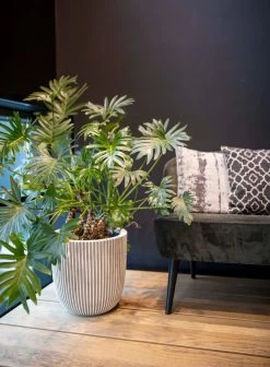 Capi Europe - Bloempot Bol Groove NL - 43x41 - Zwart - Voor Binnen En Buiten - KGVBL933 -Gardena Winkel 883x1200 1