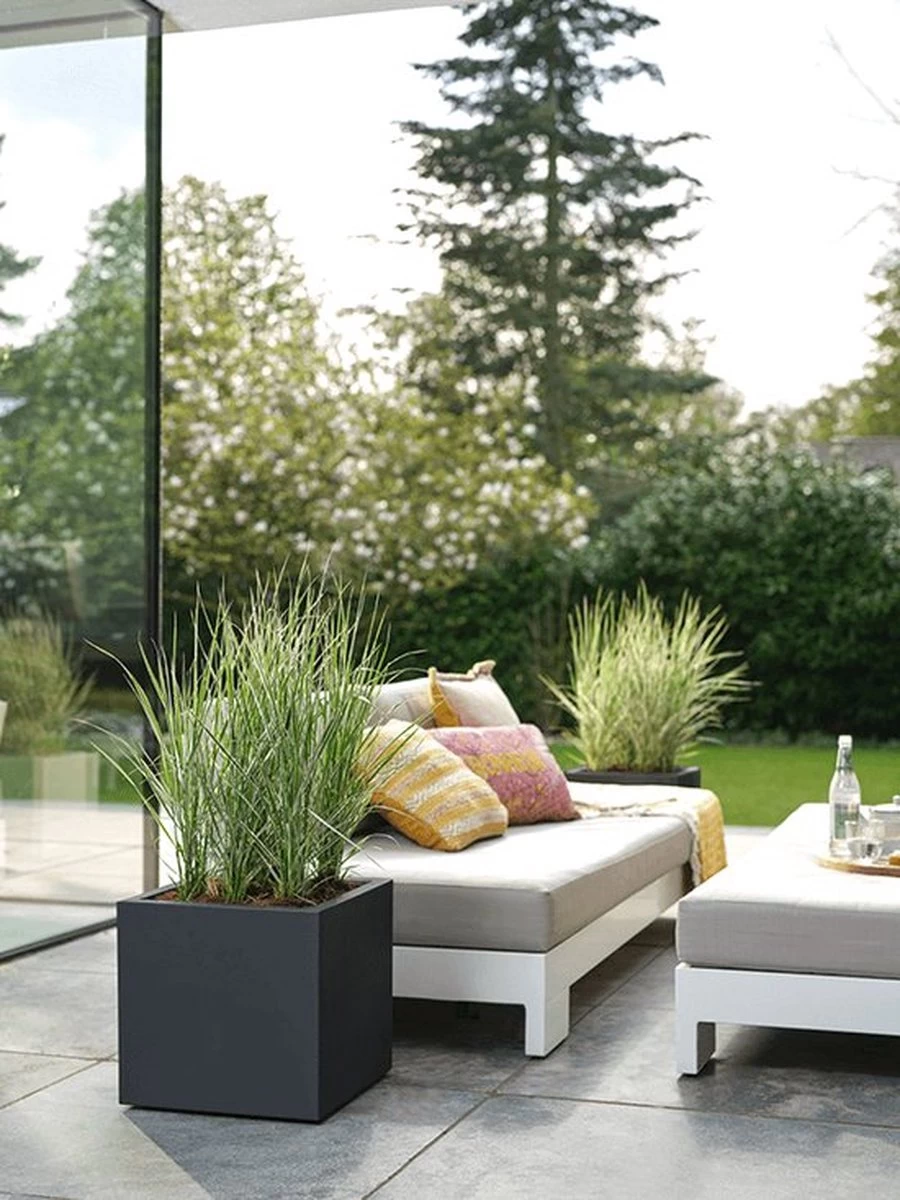 Elho Vivo Next Vierkant 30 - Plantenbak Voor Binnen & Buiten - Ø 29.5 X H 29.5 Cm - Zwart/Living Black 10 Elho Vivo Next Vierkant 30 - Plantenbak Voor Binnen & Buiten - Ø 29.5 X H 29.5 Cm - Zwart/Living Black - Afbeelding 10