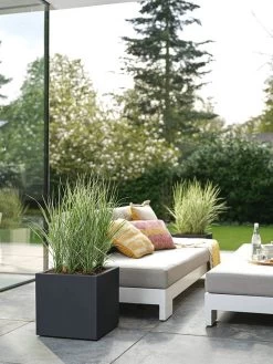 Elho Vivo Next Vierkant 40 - Plantenbak Voor Binnen & Buiten - Ø 39.0 X H 37.9 Cm - Zwart/Living Black 27 Elho Vivo Next Vierkant 40 - Plantenbak Voor Binnen & Buiten - Ø 39.0 X H 37.9 Cm - Zwart/Living Black -Gardena Winkel 900x1200 22