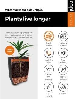 Capi Europe - Bloempot Vierkant Smooth NL - 50x50x50 - Zwart - Voor Binnen En Buiten - KBL904 31 Capi Europe - Bloempot Vierkant Smooth NL - 50x50x50 - Zwart - Voor Binnen En Buiten - KBL904 -Gardena Winkel 916x1200 1