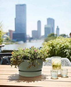 Elho Greenville Schaal 33 - Bloempot Voor Buiten - Ø 32.5 X H 19.4 Cm - Groen/Blad Groen -Gardena Winkel 986x1200